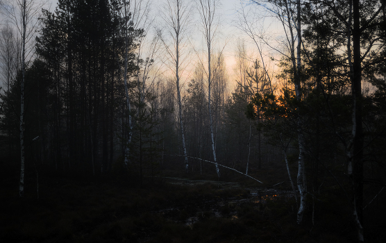 Spring