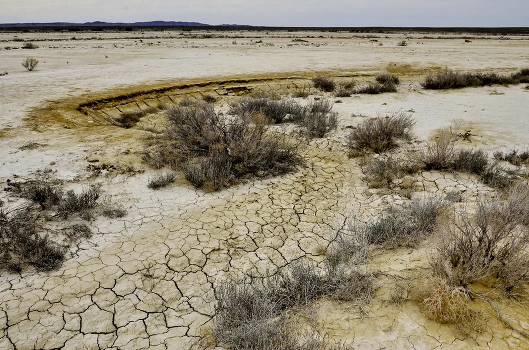 Desert ...