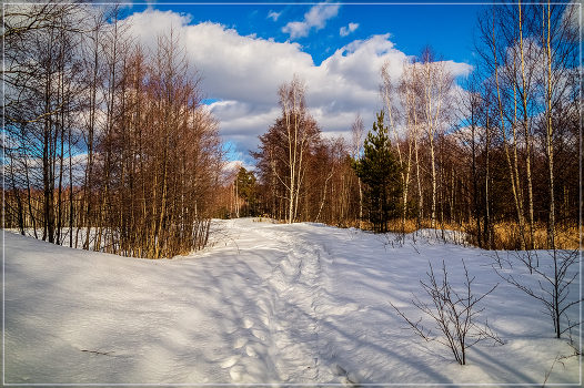 Февраль в Подмосковье 7