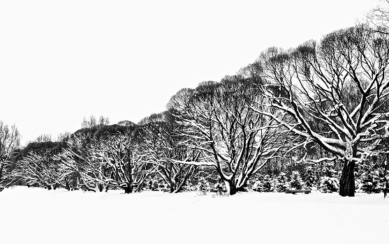 Black and white