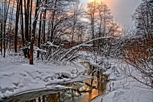 Winter landscape