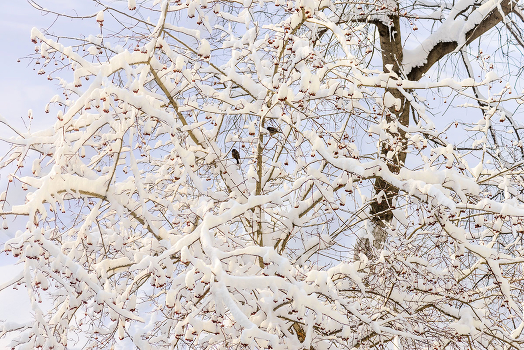 March