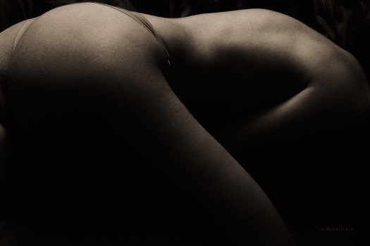 Mobile studio A. Krivitsky. "Phraseology of the body."