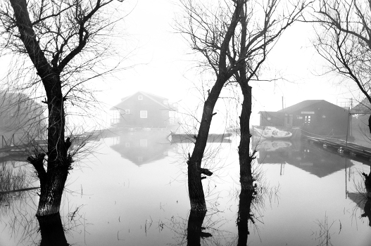 Morning fog