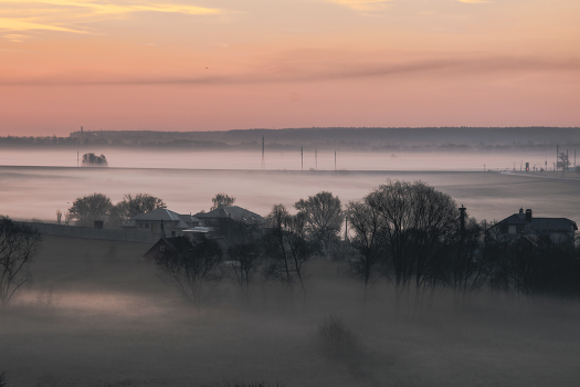 Foggy morning