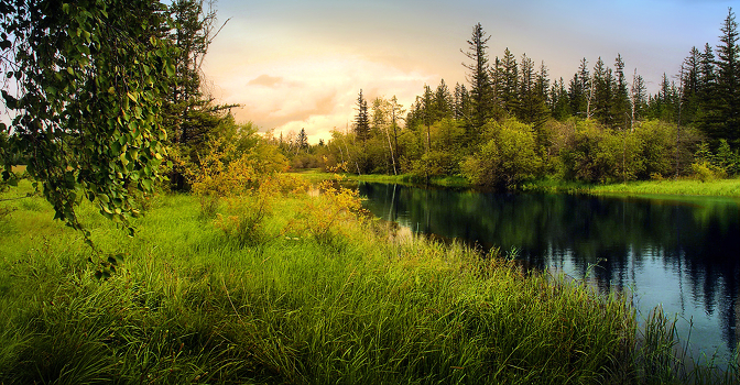 Lakeland taiga ...