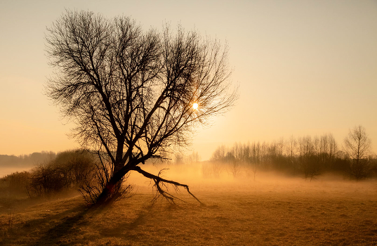 The smell of autumn