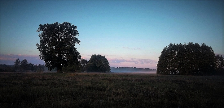At dawn
