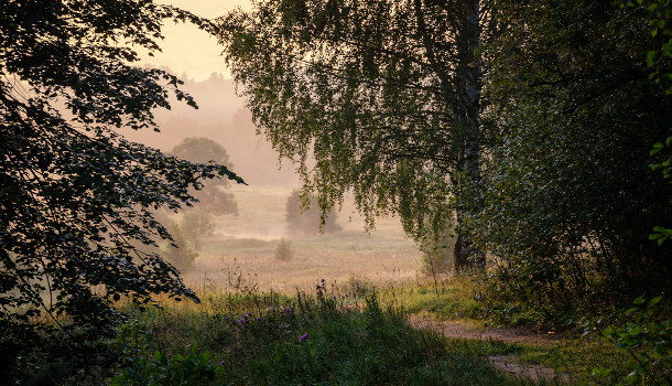 The smell of autumn
