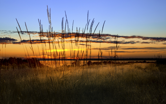 On the shore...