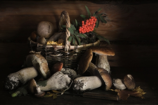 Mushroom still life