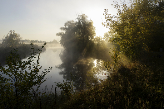 Foggy morning