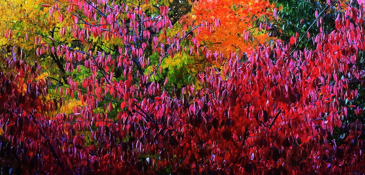 Signs of autumn