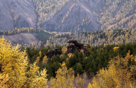Autumn colors.