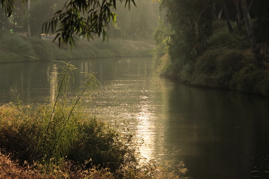 Autumn light