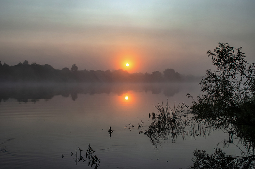 ***