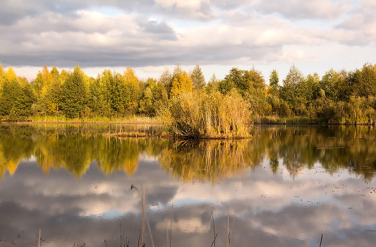 Осенние краски природы.