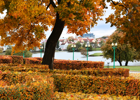 Autumn in the city