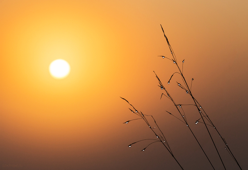 morning warm day