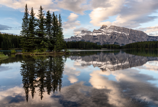 Morning reflection