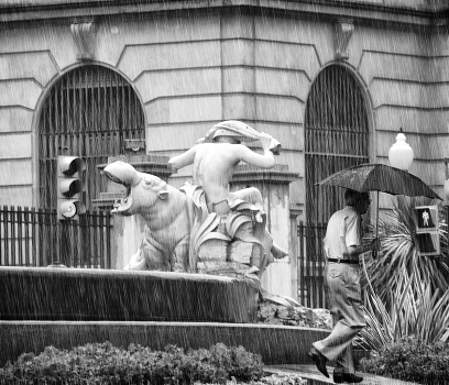 Rainy mood