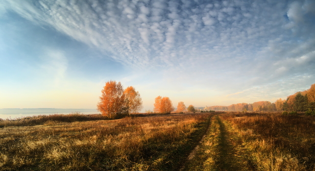 Road