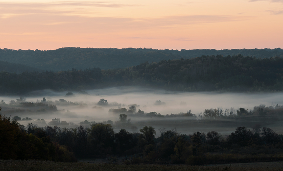 wakening
