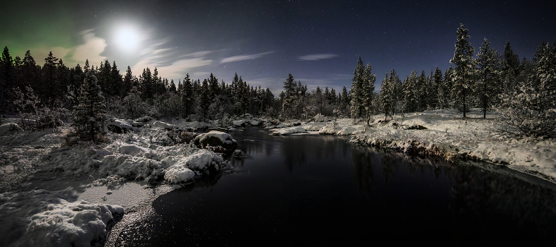 Moonlight night