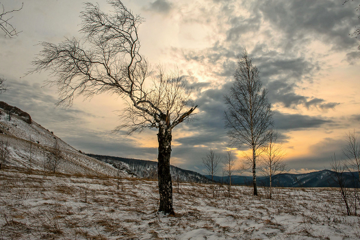 In the afternoon ...
