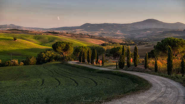 Evening