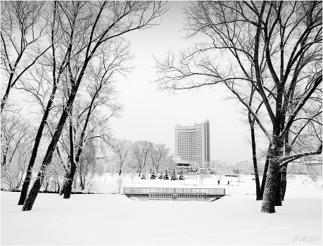 Winter in the City