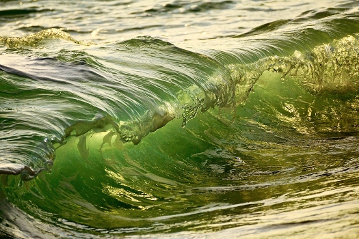 surf