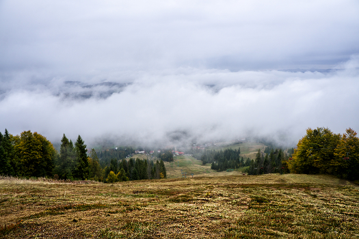 Carpathians