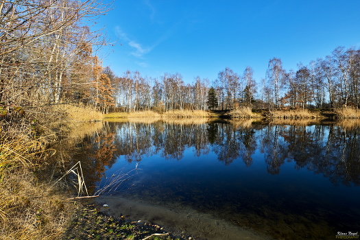 am Teich
