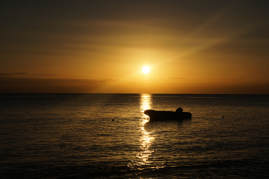 Dawn