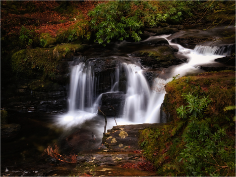 ...Torc Creeks...