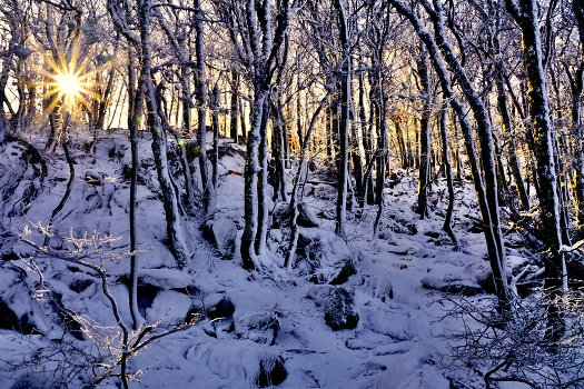 winter