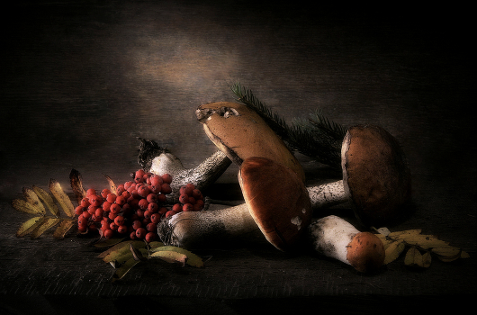 Autumn Still Life