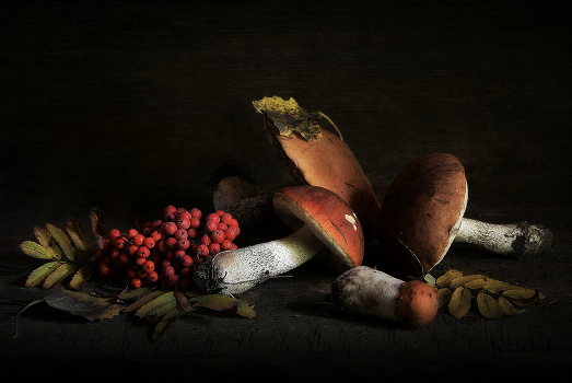 Autumn Still Life