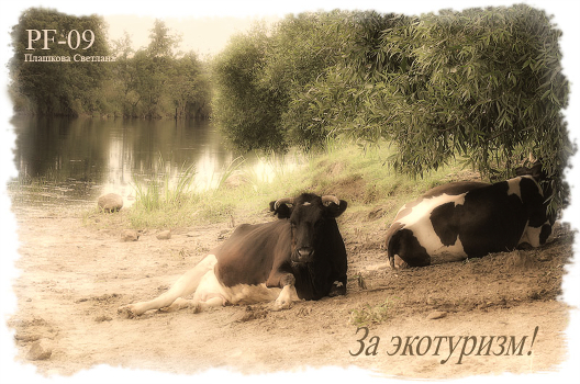за экотуризм!