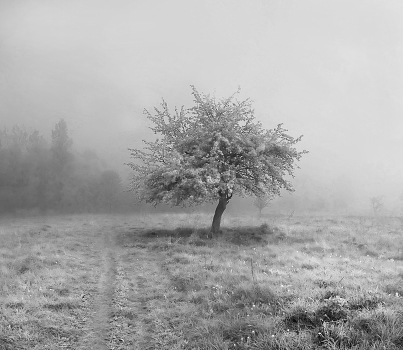Loneliness