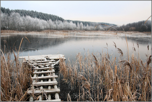 the beginning of freeze-