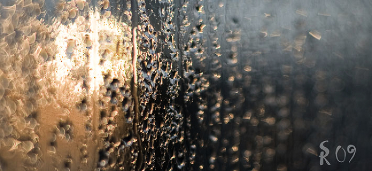 in the rays of sun, sun ...