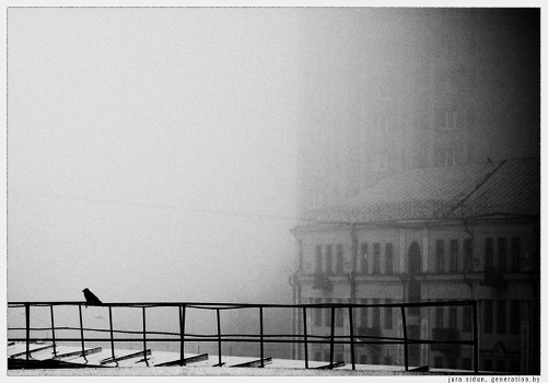 Varona ¢ fog