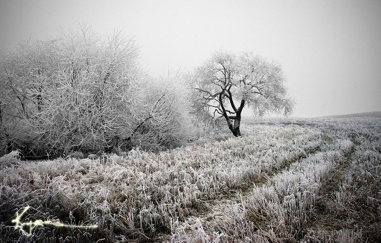 Winter ...
