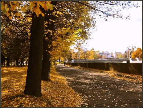 gold autumn