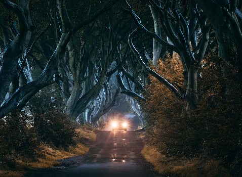 Scary tales