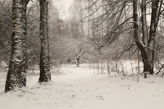 Gerade im Winter