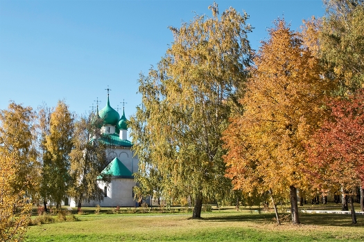 Осень на Куликовом Поле