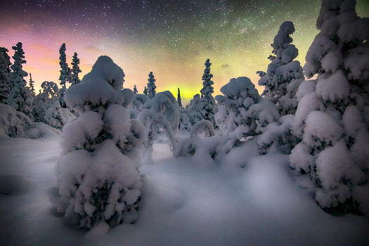 Frosty night